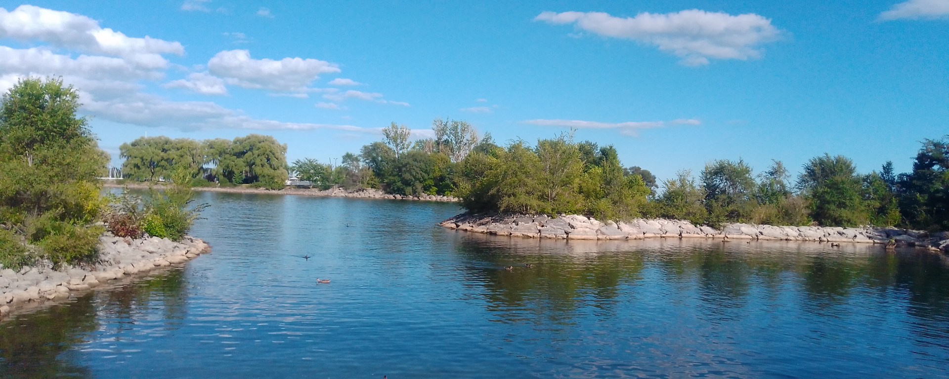 Blog La quimera del cine